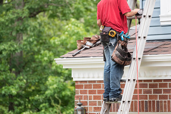 Roof Maintenance Contractor
