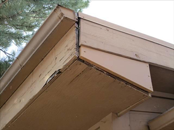 Water damaged soffit with cracked paint. 